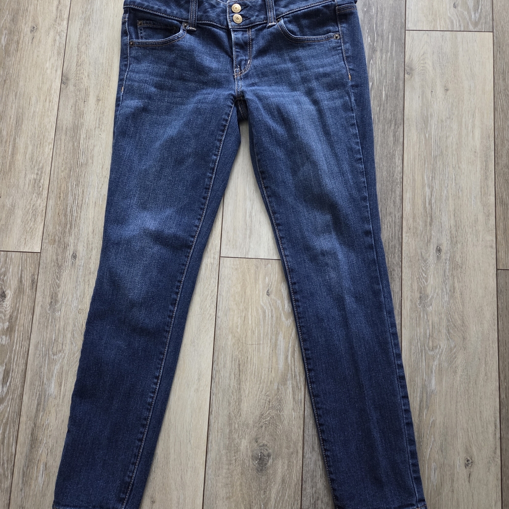 American Eagle Outfitters Navy Skinny Jeans